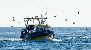 Photograph of a fishing vessel returning to Guilvinec, Brittany, after a day at sea.