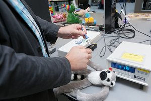 Photograph of a person testing suspicious toys.