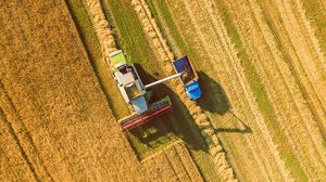 Combine tractor harvesting a wheat field.