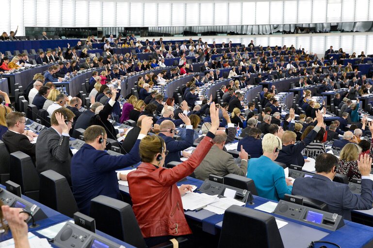 voting in the European Parliament plenary session in Strasbourg