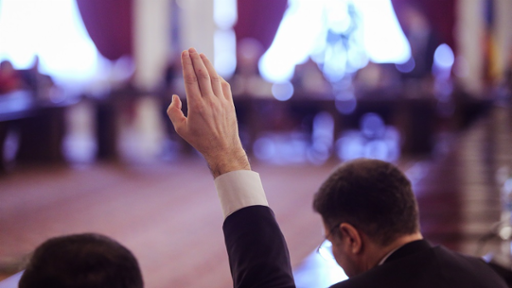 Member of the European Parliament raises their hand during a plenary session
