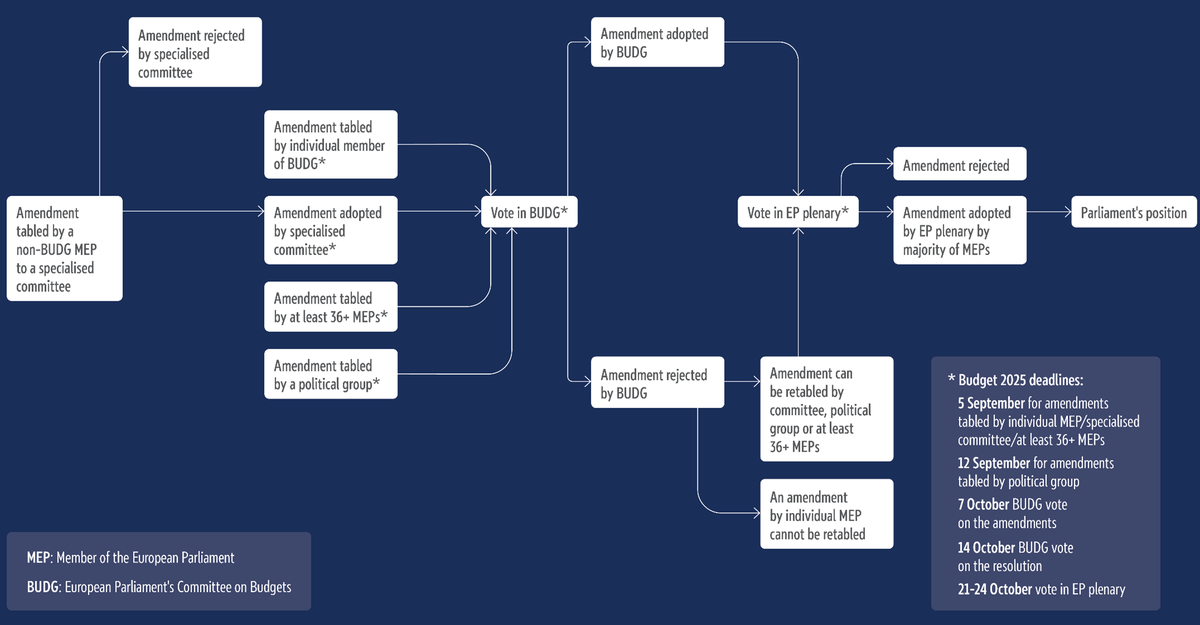 Life cycle of a budgetary amendment in the European Parliament