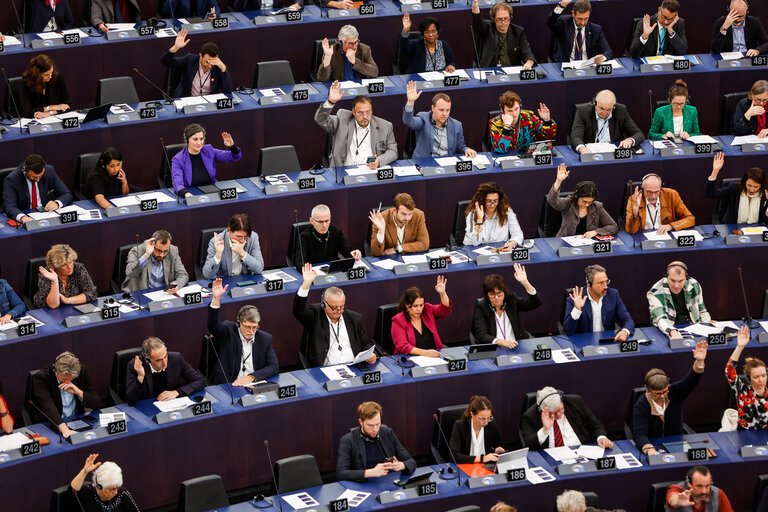 Voting session at the European Parliament plenary session in Strasbourg
