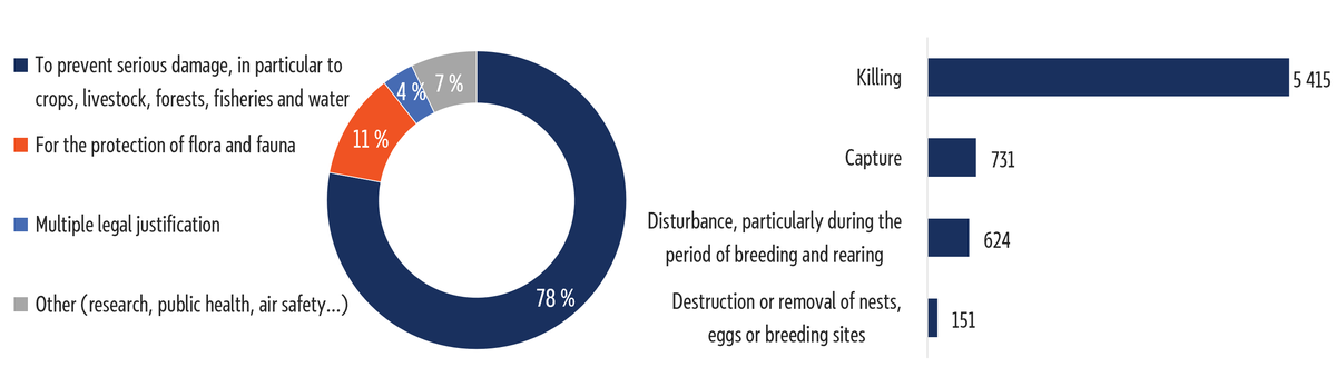 Two graphs represent the derogations concerning cormorant populations under Article&nbsp;9 of the EU Birds Directive.The doughnut chart shows the legal justification for the derogations (mostly to prevent serious damage), while the horizontal bar chart shows the activities permitted under the derogations (mostly killing).