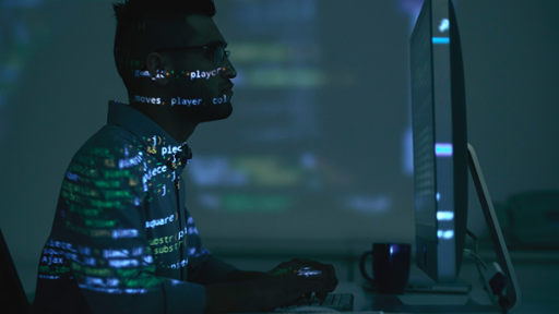Indian software developer