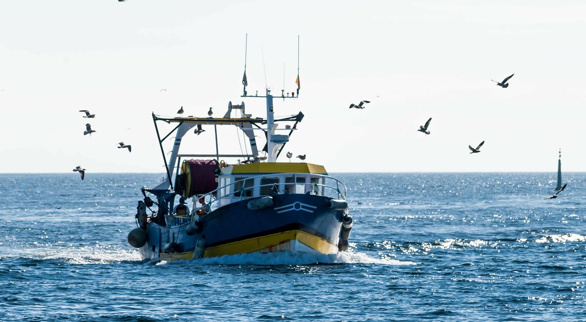 Photograph of a fishing vessel returning to Guilvinec, Brittany, after a day at sea.