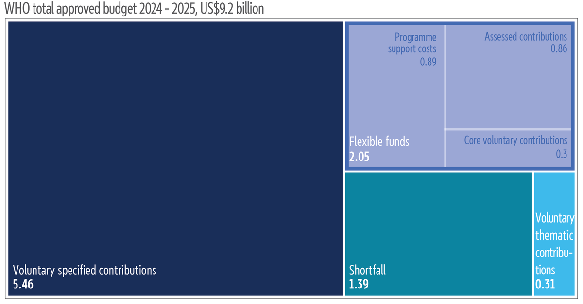 Treemap chart depicting the composition of WHO financing in 2024 and&nbsp;2025