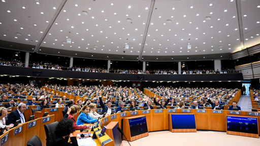 EP Mini-Plenary Session - Voting session