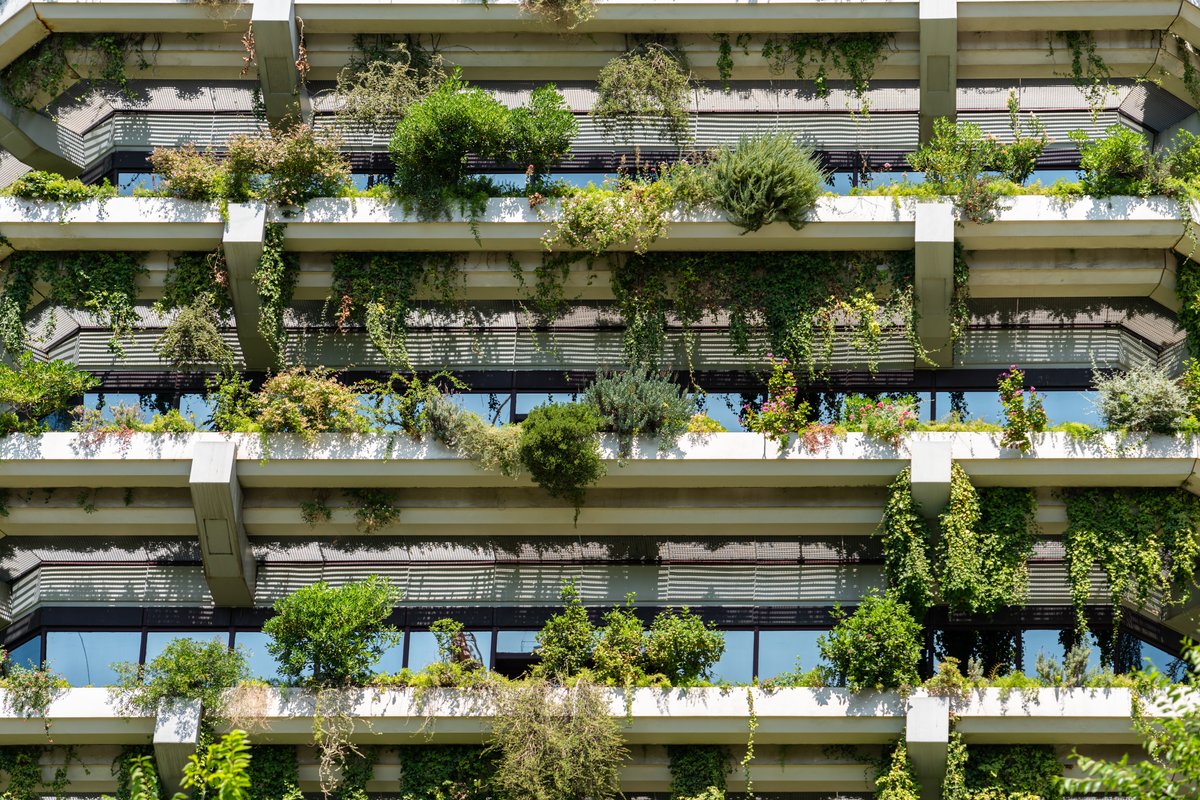 Picture showing the front of a building with many plants on the balconies.