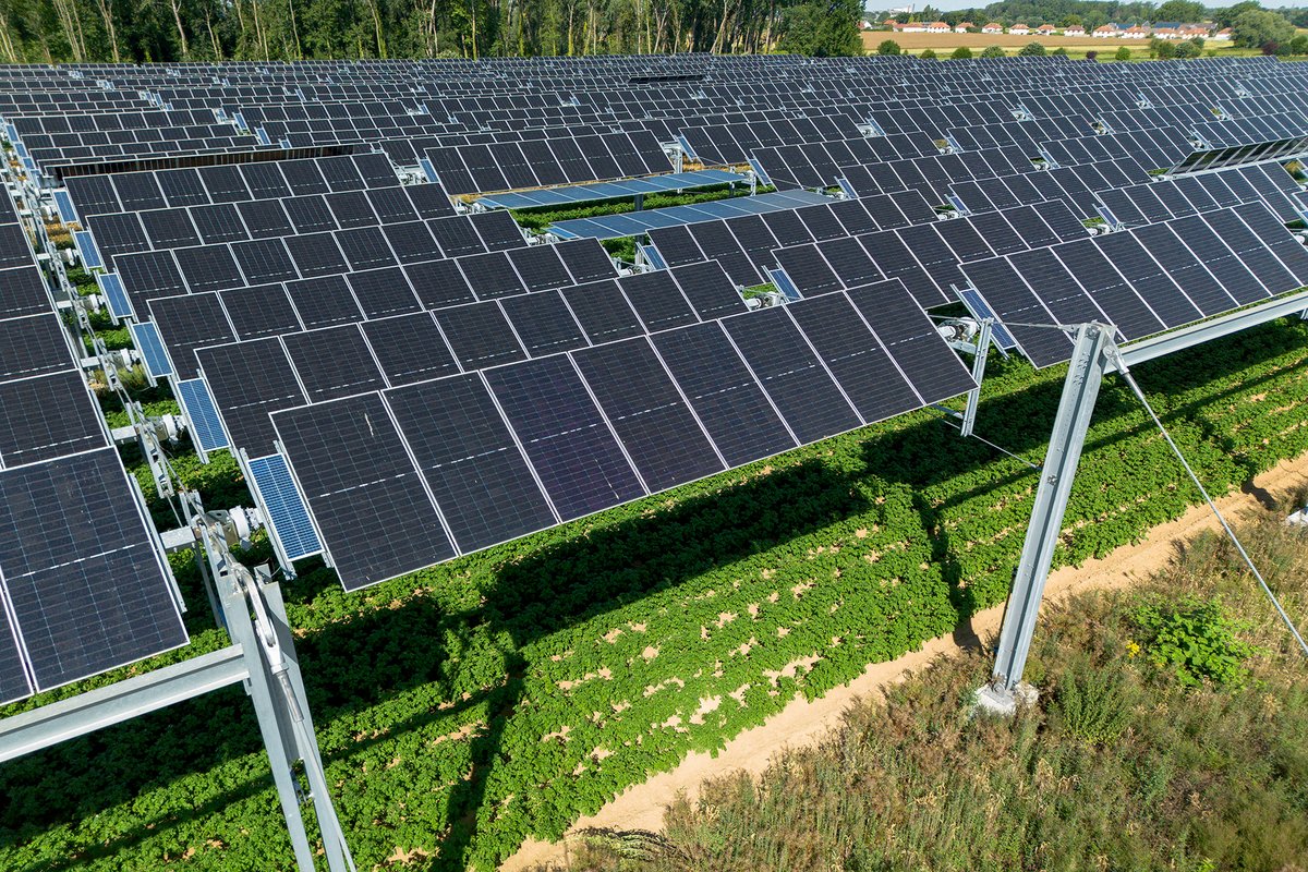 Photograph of solar panels and an irrigation system suspended over a crop
