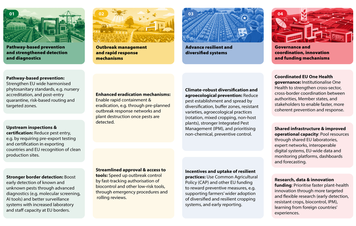 Developed policy options