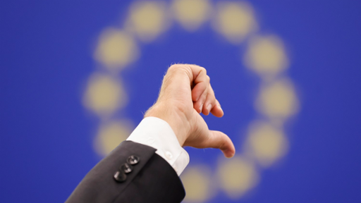 Photograph of a person giving a thumbs down signal during a European Parliament plenary session, to indicate a vote against a motion.